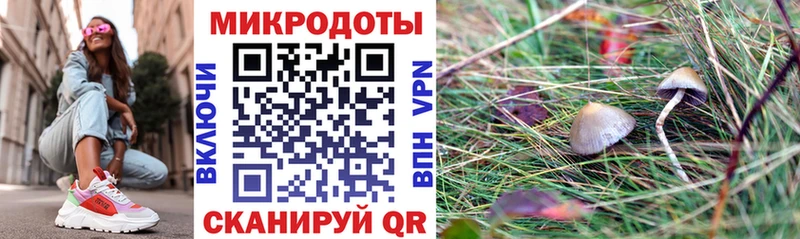 Псилоцибиновые грибы GOLDEN TEACHER  Кирсанов 